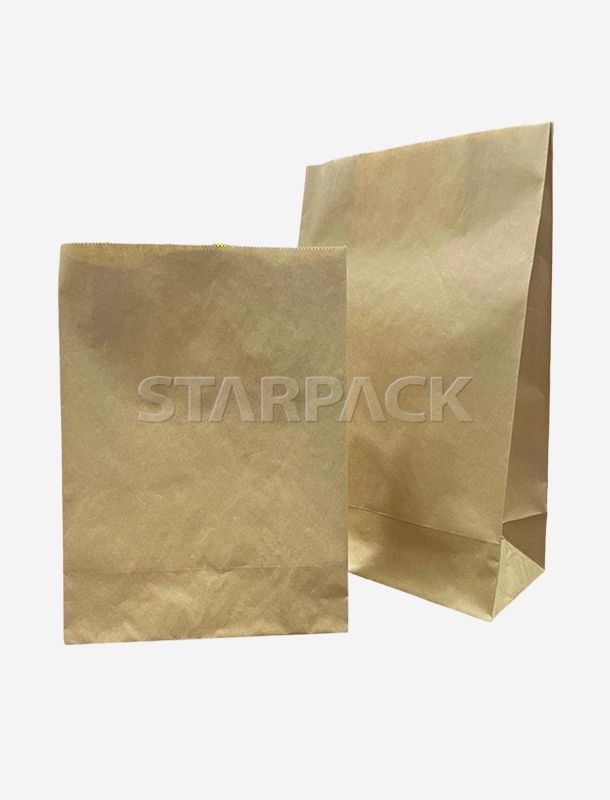 Sacs en papier kraft recycl&eacute; certifi&eacute;s FSC avec poign&eacute;es